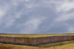 How to Choose a New Fence?