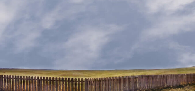 How to Choose a New Fence?