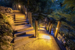 What You Should Know About Landscape Lighting