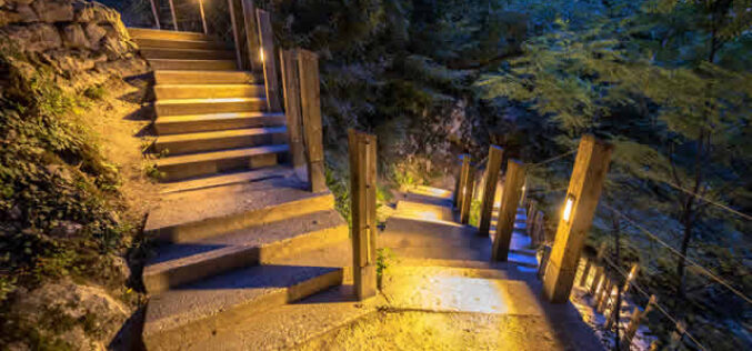 What You Should Know About Landscape Lighting