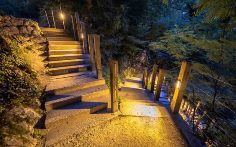 Landscape Lighting