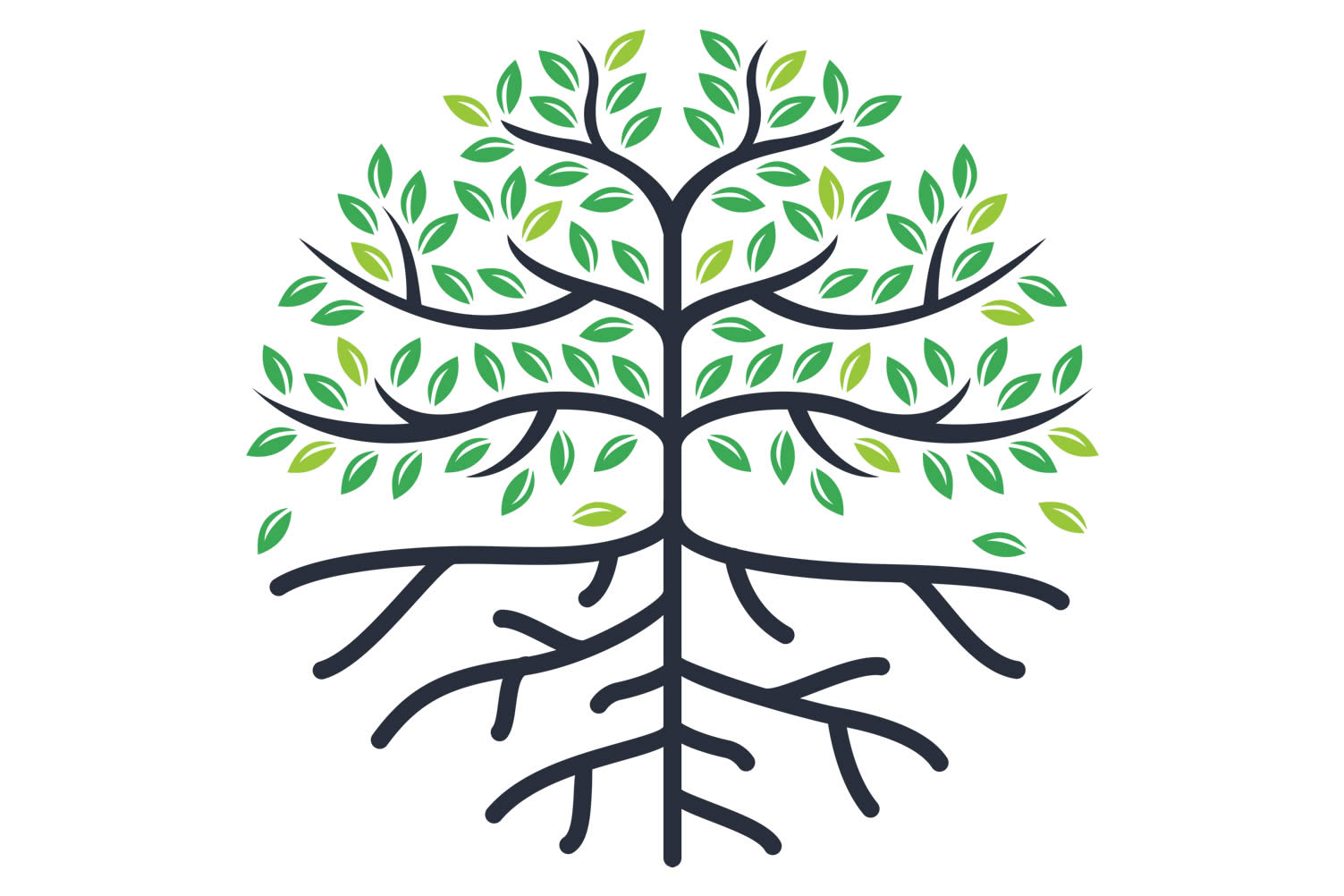 how to care for trees