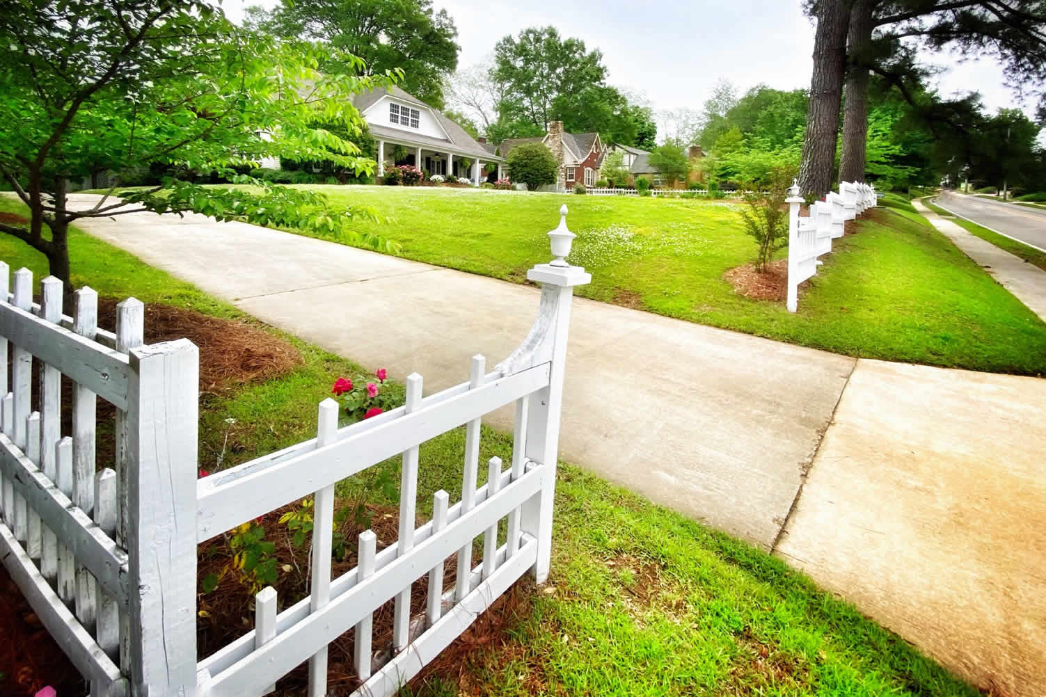 how to choose a new fence
