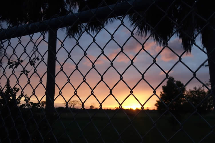 how to choose a new fence
