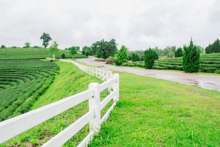 how to choose a new fence