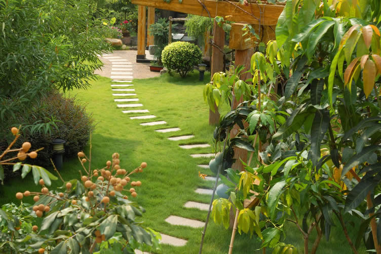 stone walkway