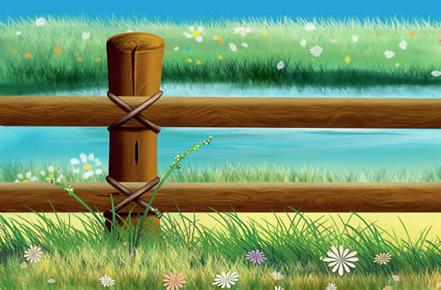 Landscape Ideas