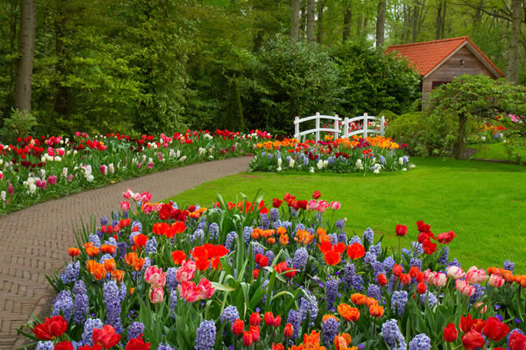 flower beds