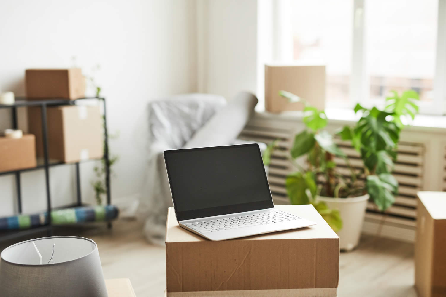 moving packing tips