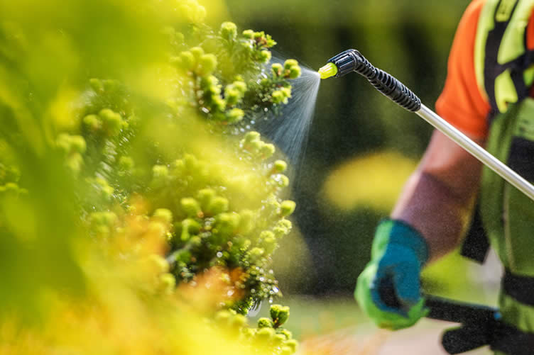 sustainable garden