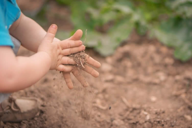 make your backyard kid-friendly