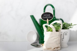 Top 8 Tips For A More Sustainable Garden