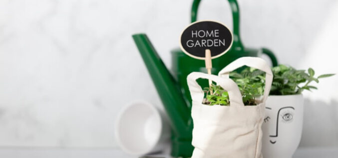 Top 8 Tips For A More Sustainable Garden