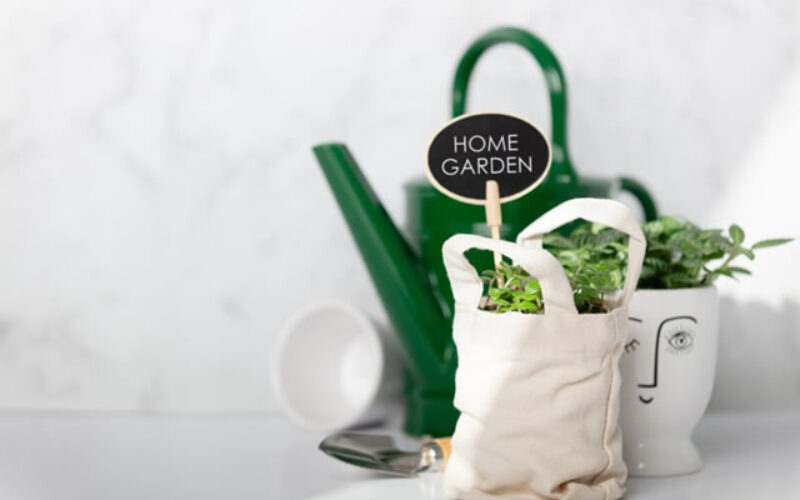 Sustainable Garden