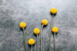 2022 Decorating Trends Worth Knowing About