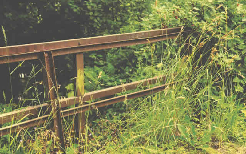3 Ways To Efficiently Clean Your Overgrown Yard