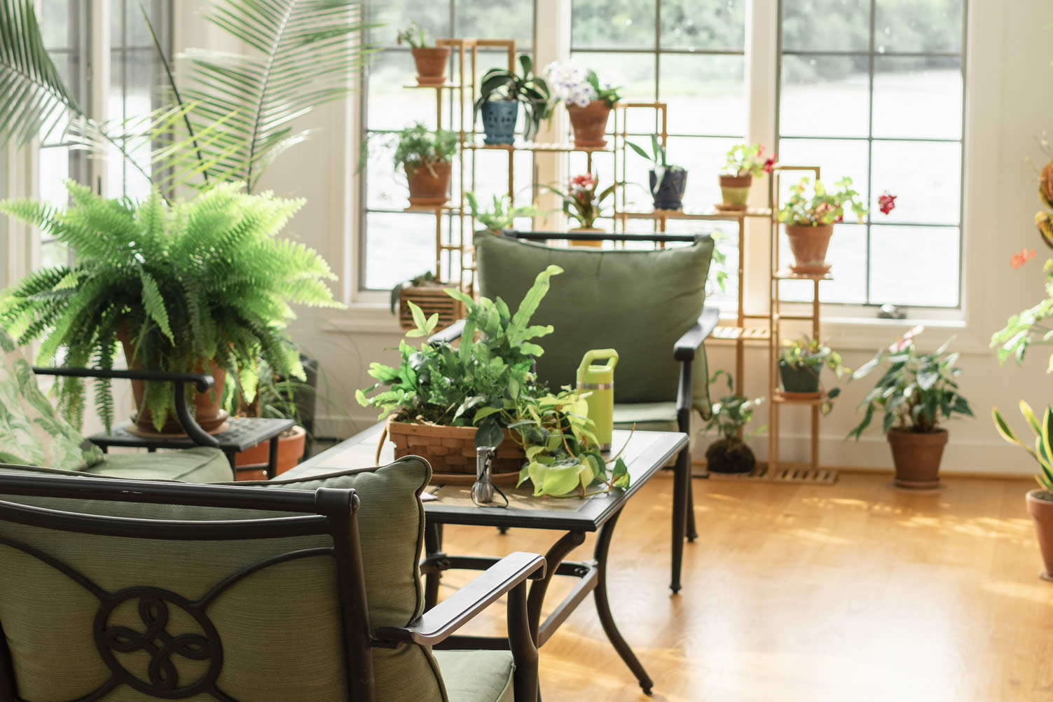 creating a pet friendly sunroom
