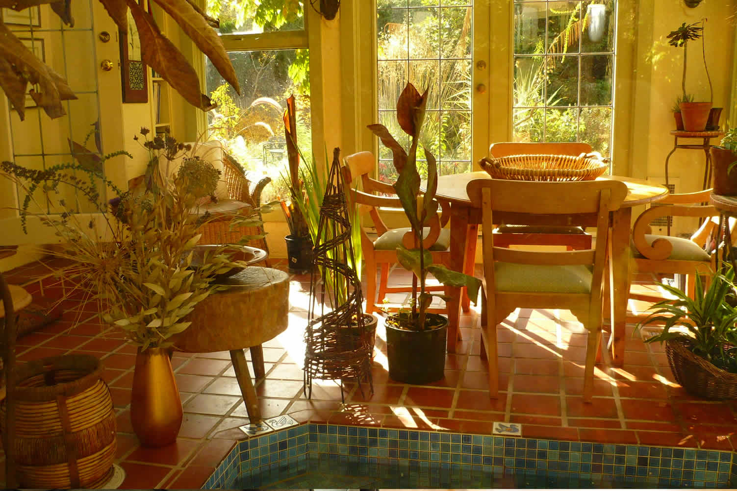 creating a pet friendly sunroom
