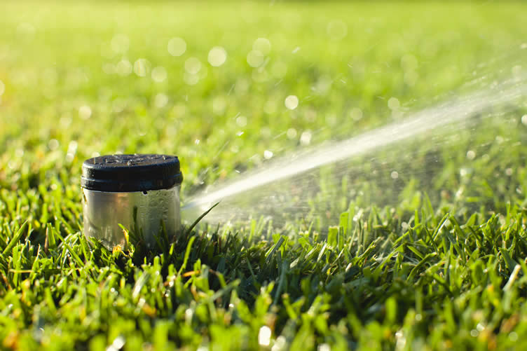 things to consider before getting a new irrigation system