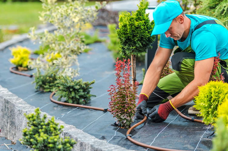 things to consider before getting a new irrigation system