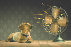 5 Air Conditioning Tips To Save Money This Summer