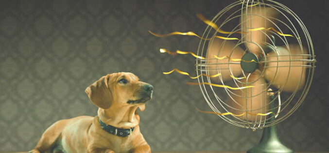 5 Air Conditioning Tips To Save Money This Summer