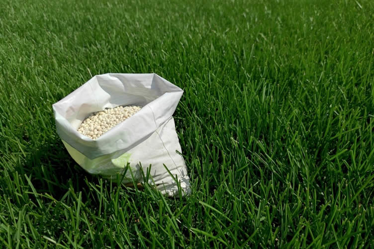 essential garden prep for the summer