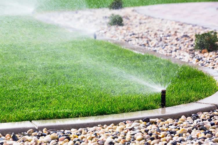 essential garden prep for the summer