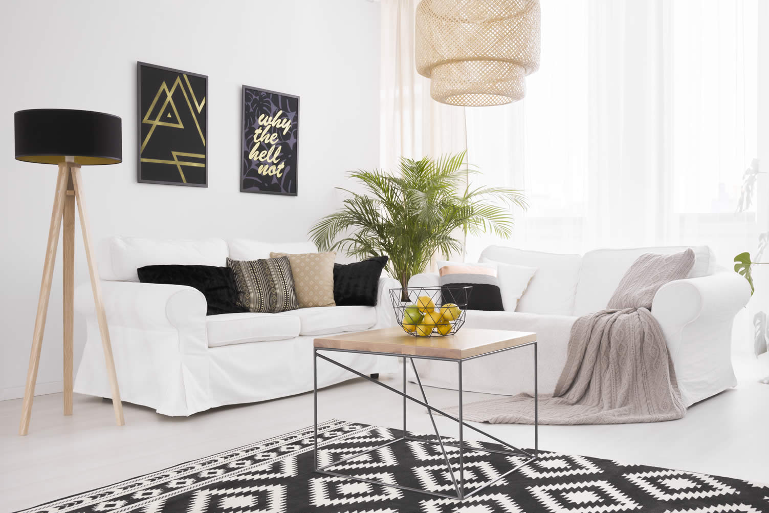 sofa colors that go well with
