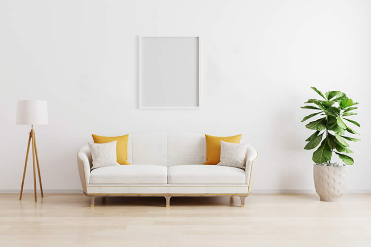 sofa colors that go well with white walls