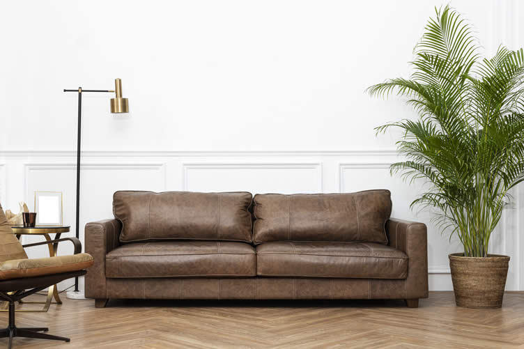 sofa colors that go well with white walls