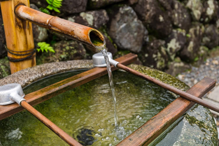 prepare your garden for a fountain installation