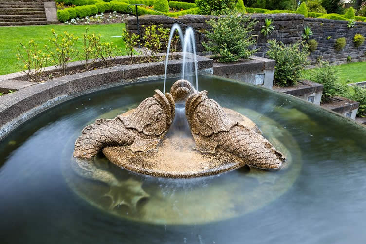 prepare your garden for a fountain installation