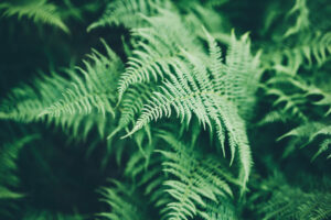 home features when living in a humid area