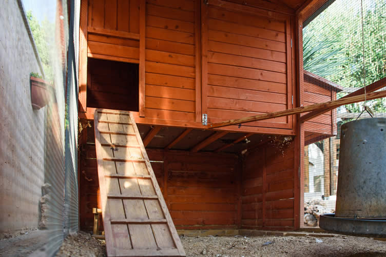 chicken coop