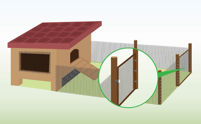 how to build a chicken run