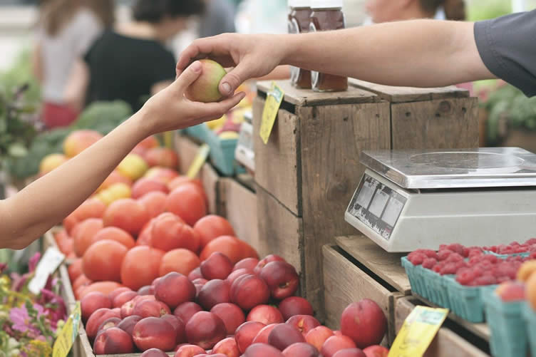 perfect time to start a fruit farm