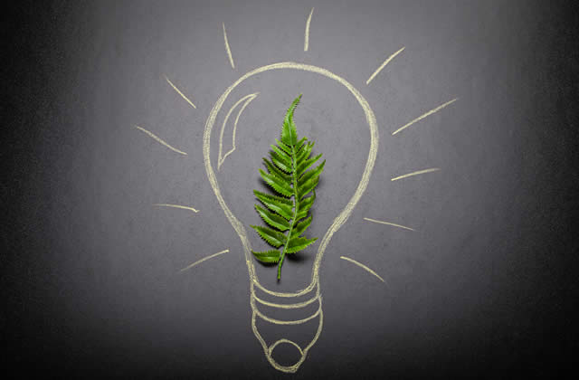 tips for improving your home's energy efficiency