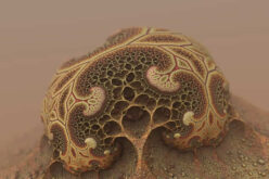 Does Your Home Layout Affect the Likelihood of Mold Growth?