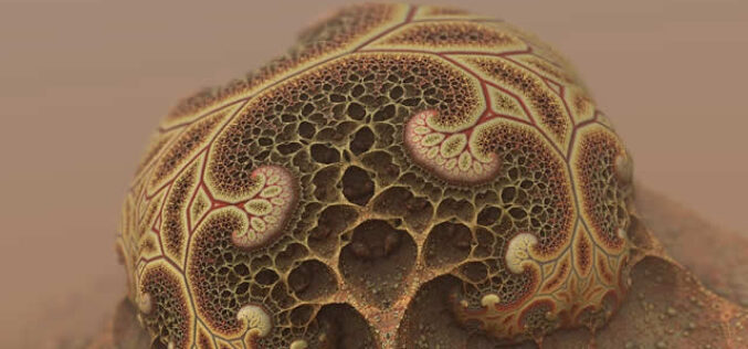 Does Your Home Layout Affect the Likelihood of Mold Growth?
