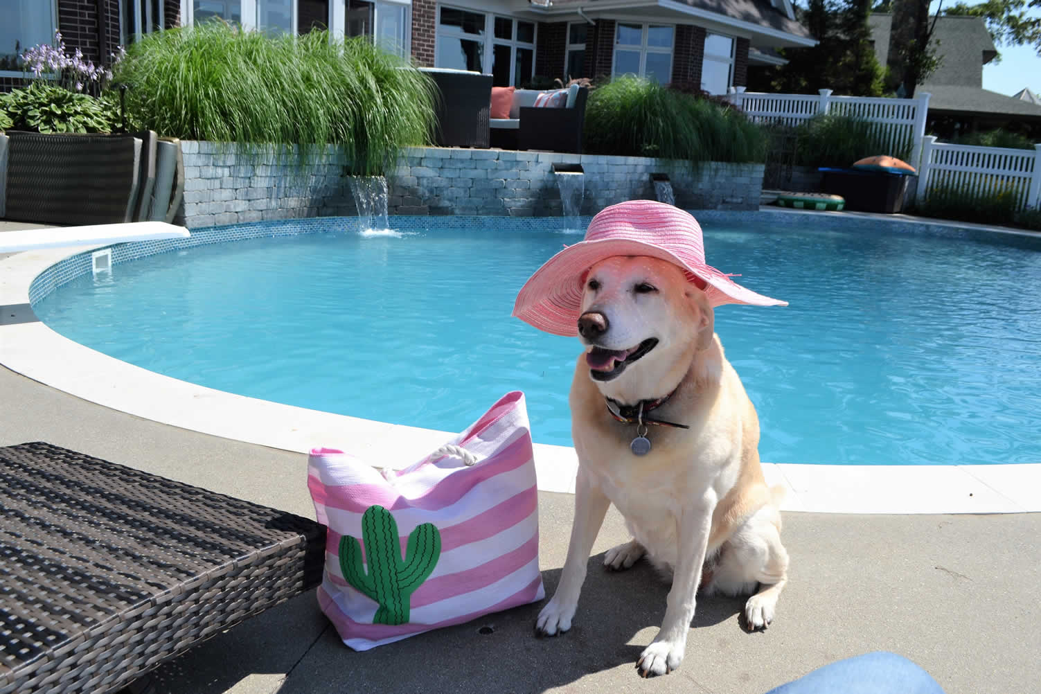 installing a pool in your backyard
