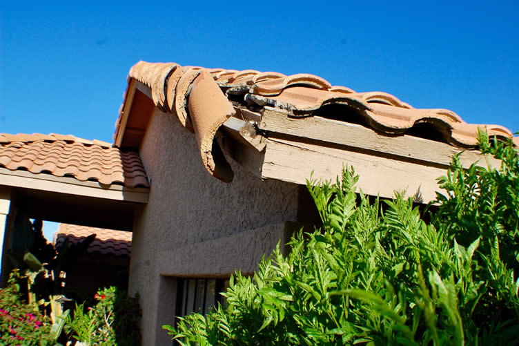 how to reduce risk of water damage