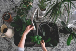 Important Pros and Cons of Granite Composite Sinks
