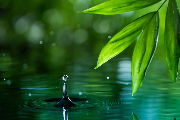 how to save water at home