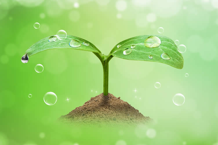 how to save water at home