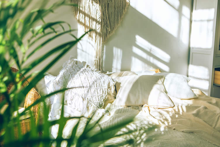reasons to decorate your home with houseplants