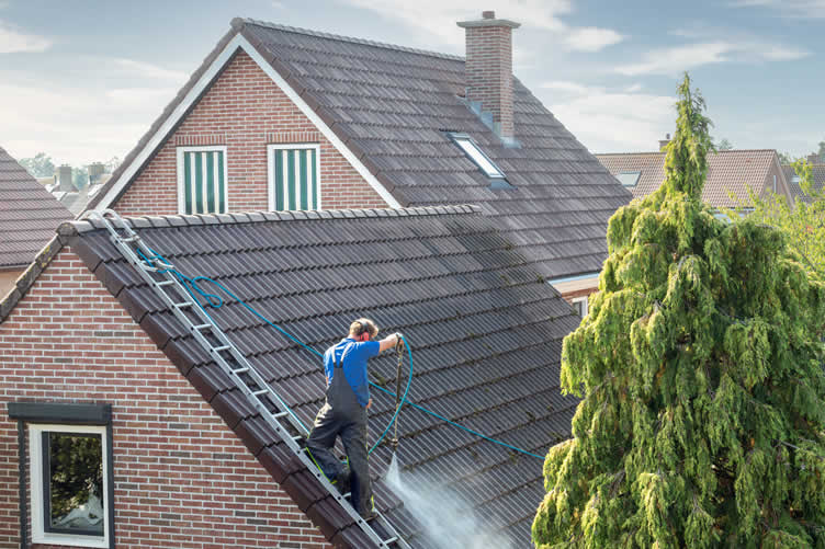 how to maintain or renovate an old and damaged roof