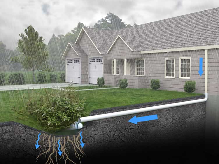 how to maintain or renovate an old and damaged roof