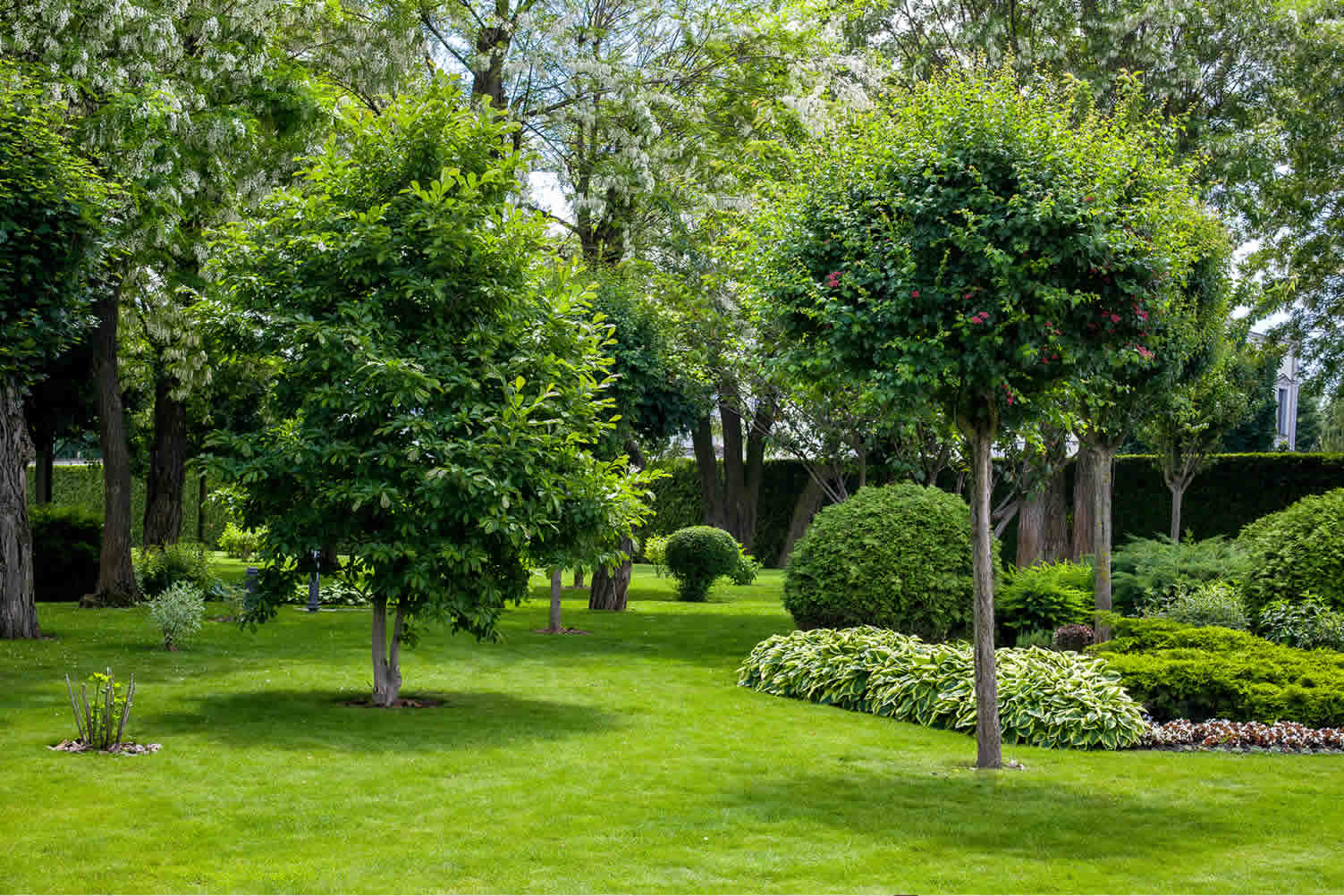 tips on creating a sensory garden