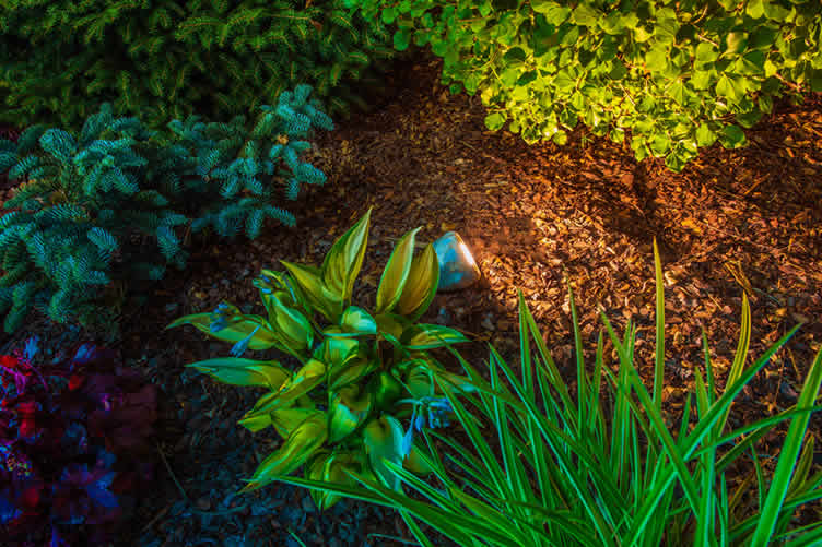 tips on creating a sensory garden
